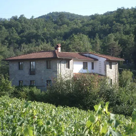 Casa Elenuar